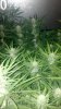 2012-07-27_18-10-17_940.jpg
