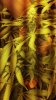 2012-07-27_05-01-14_156.jpg