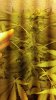 2012-07-27_05-01-24_581.jpg