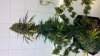 2012-07-18_15-37-06_920.jpg