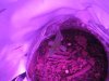 IMG_8099.jpg