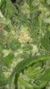 2012-07-28_23-02-34_535.jpg