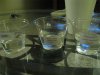 IMG_4264.JPG