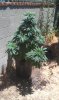 IMAG0479.jpg