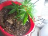 100_0282.jpg