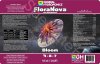 FloraNova Bloom pic.jpg