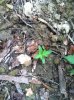 IMG_1911.jpg IMG_1911.jpg