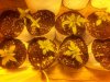 20120723_201112.jpg