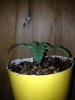 IMG_0593.jpg IMG_0593.jpg