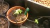 IMAG0116_600x338.jpg IMAG0116_600x338.jpg