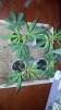 2012-07-03_21-42-47_898.jpg