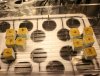 whitewidow_northernlightxbigbud_day4_800.jpg