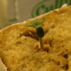 whitewidow_sprout1_800w.jpg