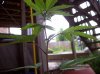 000_0008resize.jpg