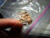 DSC01610.JPG