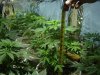 DSC01183.jpg
