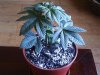 test 22 023.jpg
