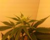 Photo-0005.jpg