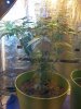 IMG_20120802_125845.jpg