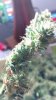 2012-08-03_03-45-55_834.jpg