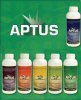 Aptus.jpg