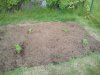 2012-06-08 17.25.36.jpg