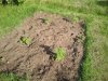 2012-06-16 18.50.17.jpg