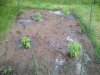 2012-06-18 19.00.49.jpg