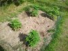 2012-06-28 17.11.14.jpg
