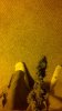 2012-08-03_17-26-33_291.jpg