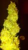 2012-08-03_17-27-05_154.jpg