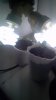 2012-08-02_18-08-54_616.jpg