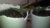 2012-08-03_19-58-29_226.jpg