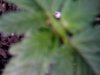 IMG_0297.jpg IMG_0297.jpg