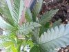 20120805_121351.jpg