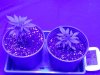 20120805_121812.jpg