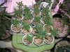 100_0673.jpg