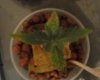 DSC02518.jpg