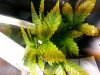 20120806_162604.jpg 20120806_162604.jpg