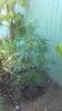 2012-08-06_18-37-03_851.jpg