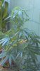 2012-08-06_18-37-16_746.jpg