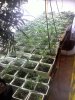 20120806113434.jpg