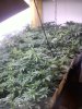 20120806113455.jpg