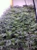 20120806113510.jpg