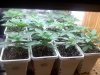 20120806113635.jpg