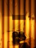 room.jpg