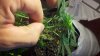 2012-08-07_21-09-58_976.jpg