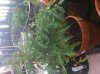 IMG_0302.jpg IMG_0302.jpg