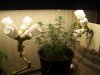 pot111 006.jpg