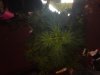 04062012042.jpg